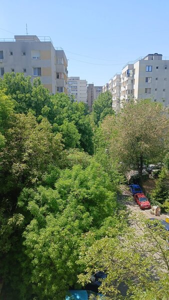 Socului